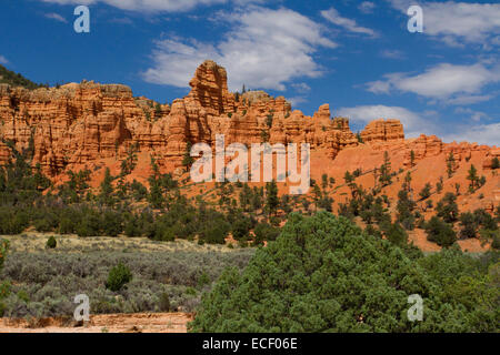 Pink Claron Limestone rock formations at Red Canyon in the Dixie National Forest, Utah, USA in July Stock Photo