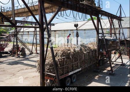 Unloading sugar cane at mill Stock Photo