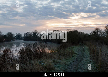 Windsor, Berkshire, UK.  13th December 2014. UK weather. Early morning frost on the Thames Path on the banks of the River Thames at Windsor, Berkshire. Credit:  Ed Brown/Alamy Live News Stock Photo