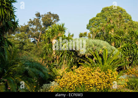 The Royal Botanic Gardens Melbourne,internationally renowned botanical gardens located near the centre of Melbourne,Victoria,Australia Stock Photo