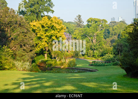 The Royal Botanic Gardens Melbourne,internationally renowned botanical gardens located near the centre of Melbourne,Victoria,Australia Stock Photo