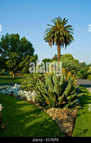 The Royal Botanic Gardens Melbourne,internationally renowned botanical gardens located near the centre of Melbourne,Victoria,Australia Stock Photo