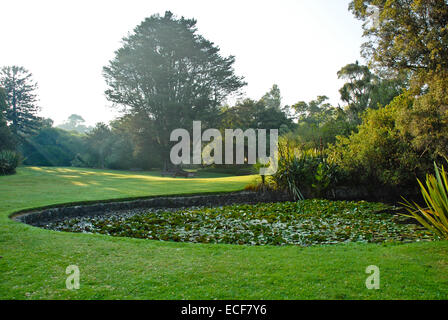 The Royal Botanic Gardens Melbourne,internationally renowned botanical gardens located near the centre of Melbourne,Victoria,Australia Stock Photo