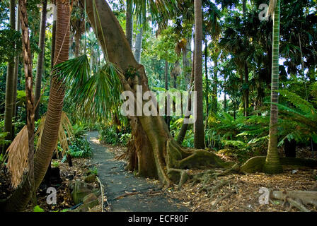 The Royal Botanic Gardens Melbourne,internationally renowned botanical gardens located near the centre of Melbourne,Victoria,Aus Stock Photo