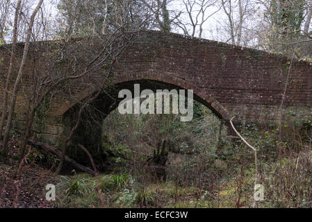 A bridge across the old still derelict part of the Arun-Weybridge canal taken on an overcast winter's day.