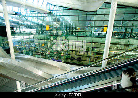 Heathrow London,UK. 13th December 2014. Passengers are greeted by a  large Christmas tree with a Royal Crown at the terminal 2 building in Heathrow airport Credit:  amer ghazzal/Alamy Live News Stock Photo