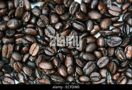 Freshly roasted coffee beans Stock Photo