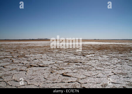 Salt flats on Birket Zeitoun, in the Siwa oasis, Egypt Stock Photo