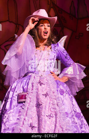 Pictured: Linda Gray as the Fairy Godmother. Dress rehearsal of the pantomime Cinderella starring Dallas actress Linda Gray as the Fairy Godmother at the New Wimbledon Theatre. With comedian Tim Vine as Buttons, Matthew Kelly and Matthew Rixon as the two Ugly Sisters, Wayne Sleep as Dandini, Amy Lennox as Cinderella and Liam Doyle as Prince Charming. The panto runs from 5 December 2014 to 11 January 2015. Stock Photo