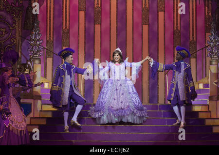 Pictured: Linda Gray. Dress rehearsal of the pantomime Cinderella starring Dallas actress Linda Gray as the Fairy Godmother at the New Wimbledon Theatre. With comedian Tim Vine as Buttons, Matthew Kelly and Matthew Rixon as the two Ugly Sisters, Wayne Sleep as Dandini, Amy Lennox as Cinderella and Liam Doyle as Prince Charming. The panto runs from 5 December 2014 to 11 January 2015. Stock Photo