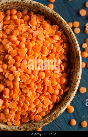 Organic Raw Red Lentils in a Bowl Stock Photo