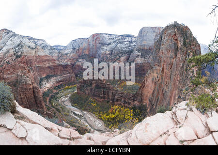 view of Zion National Park form the Angels Landing trail mid autumn with colors in trees and cliffs Stock Photo