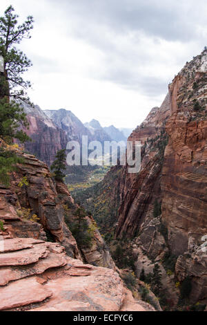 view of Zion National Park form the Angels Landing trail mid autumn with colors in trees and cliffs Stock Photo