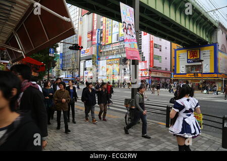 This image was captured in Akihabara, Japan in November 2014. Stock Photo