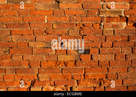 An old brick wall background. Stock Photo