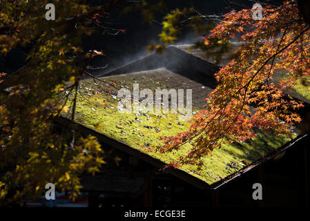 Early morning mist rising off a moss roof in Takao, Kyoto, Japan. Stock Photo