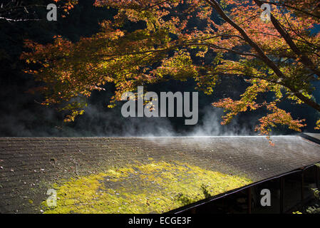 Early morning mist rising off a moss roof in Takao, Kyoto, Japan. Stock Photo