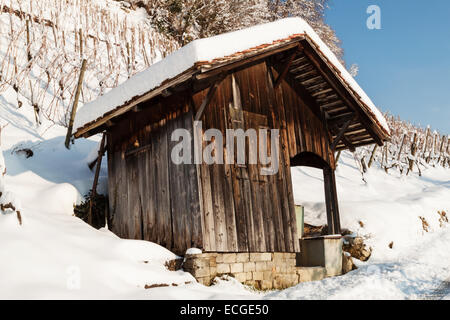 wooden house in front of vineyard plantation in winter season Stock Photo