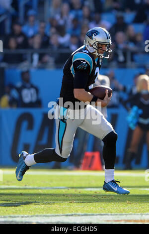 America Stadium, Charlotte, NC, USA. 14th Dec, 2014. Carolina Panthers quarterback Derek Anderson #3 during NFL football game between the Tampa Bay Buccaneers and the Carolina Panthers at Bank of America Stadium, Charlotte, NC. © csm/Alamy Live News Stock Photo