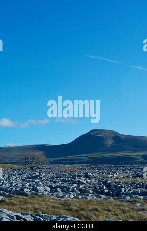 Afternoon sunlight on the Limestone Pavement at Twistleton Scar, Yorkshire Dales, England, UK Stock Photo