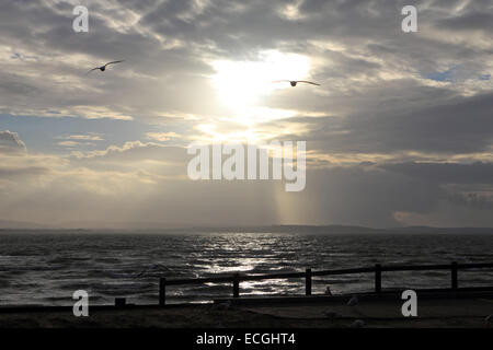 Solent, Hampshire, UK. 14th Dec, 2014. Lepe on the Solent, Hampshire, UK. Seagulls fly over the stormy waters of the Solent held up by the strong winds blowing along the south coast of England today. Credit:  Julia Gavin UK/Alamy Live News Stock Photo