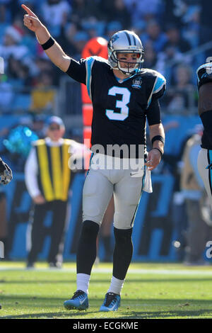 America Stadium, Charlotte, NC, USA. 14th Dec, 2014. Carolina Panthers quarterback Derek Anderson #3 during NFL football game between the Tampa Bay Buccaneers and the Carolina Panthers at Bank of America Stadium, Charlotte, NC. Credit:  csm/Alamy Live News Stock Photo