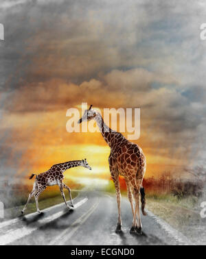 Digital Painting Of Two Giraffes Walking On The Road Stock Photo