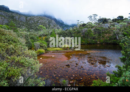 Backcountry Tasmania - Wet, Lush, Rugged Stock Photo