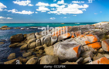 Bay of Fires on a Sunny Day, Tasmania, Australia Stock Photo