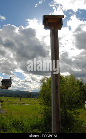 Birdhouse framed by blue sky and white clouds with open fields, trees and a second birdhouse with tiny bird on top in background Stock Photo