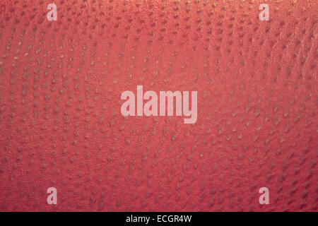 Red Brown Dimpled Leather Background Stock Photo