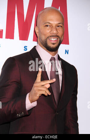 Common attends the premiere of 
