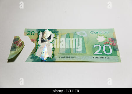 teared off money bill Canadian twenty dollars Stock Photo