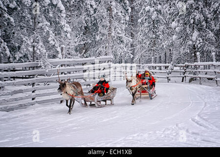 reindeer finland rovaniemi december alamy lapland sledges racing