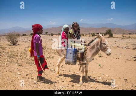 Children with a donkey on the way to a waterhole, in the lowlands, Eritrea Stock Photo