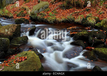 UK,Derbyshire,Peak District,Padley Gorge Waterfalls in Autumn Stock Photo