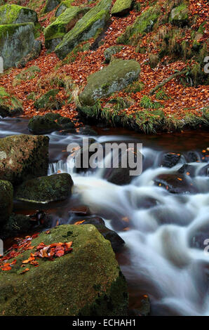 UK,Derbyshire,Peak District,Padley Gorge Waterfalls in Autumn Stock Photo