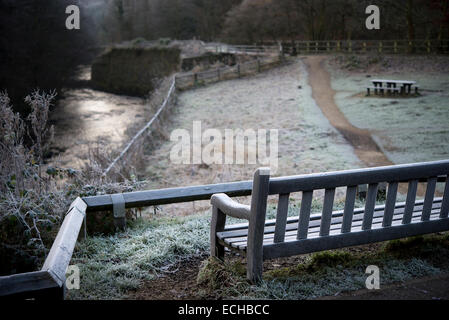 Empty bench on a frosty morning at Etherow country park, Cheshire. Stock Photo