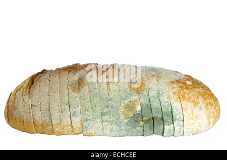 not fresh mouldy bread on white background Stock Photo