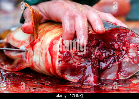 Czech Christmas carp, Vendor cutting carp for customers. Street stall, Prague, Czech Republic Stock Photo