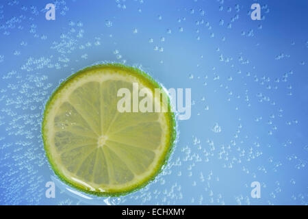 Sliced lemon citrus fruit on blue background with fizzy bubbles Stock Photo