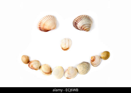 smile from various color shells isolated on white Stock Photo