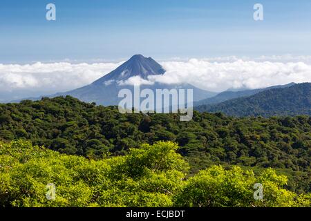 Costa Rica, Puntarenas Province, Santa Elena, Santa Elena reserve, seen on the volcano Arenal Stock Photo