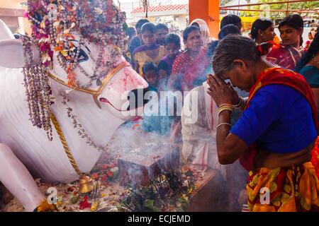 India, Chhattisgarh, Chitrakoot, woman praying before Nandi Stock Photo