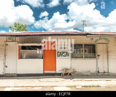 Traditional Javanese restaurant at Kankantrie market, Paramaribo, Suriname, with dog passing Stock Photo