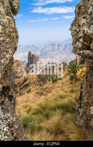 Ethiopia, National Park of Simien, listed as World Heritage by UNESCO, view from sumit of Imetgogo mountain at 3926 meters of altitud Stock Photo