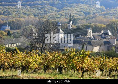 France, Gard, Saint Paulet de Caisson, Chartreuse de Valbonne (13th century) Historical Monument Stock Photo