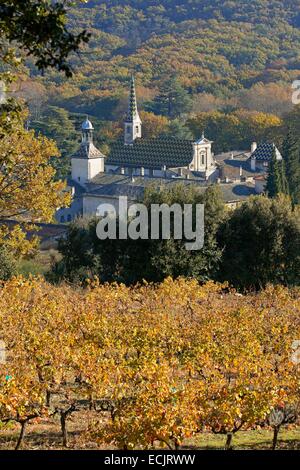 France, Gard, Saint Paulet de Caisson, Chartreuse de Valbonne (13th century) Historical Monument Stock Photo