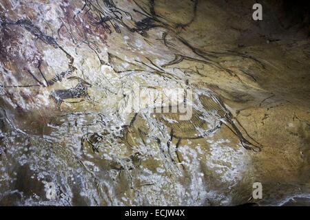 France, Ariege, Niaux Cave, Upper Paleolithic, Animal representations Magdalenian parietal Stock Photo