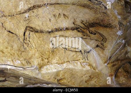 France, Ariege, Niaux Cave, Upper Paleolithic, Animal representations Magdalenian parietal Stock Photo
